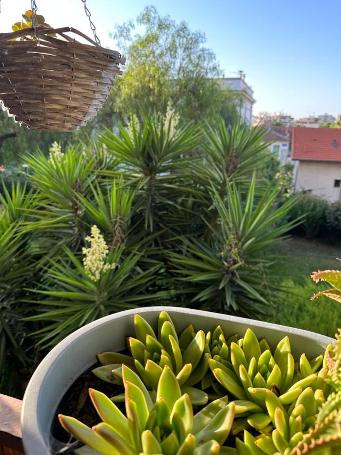 ניס Location De Chambre Privee Dans Residence Securisee Privee,Parking Gratuit , 1 Minute Du Tramway, A 9 Minute Du Centre Ville, Accessible A Plusieurs Transports מראה חיצוני תמונה